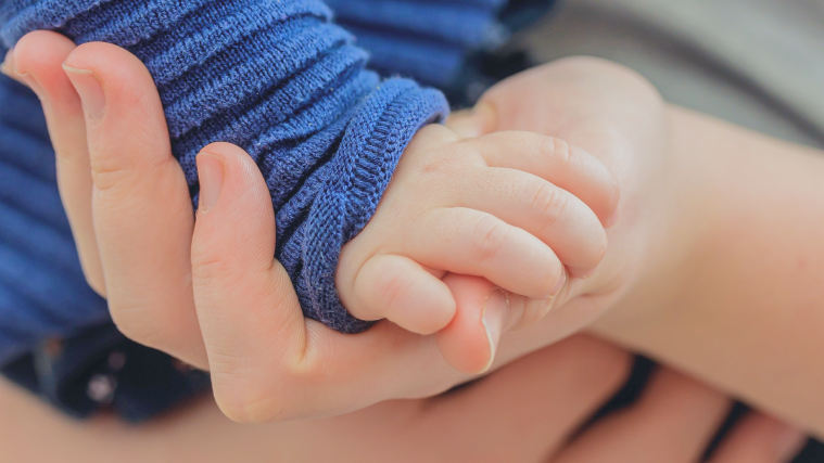 手をつないでいる写真